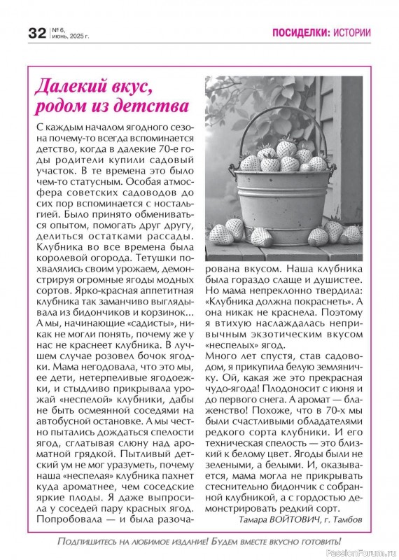 Коллекция кулинарных рецептов в журнале «Кухонька Михалыча №6 2025»