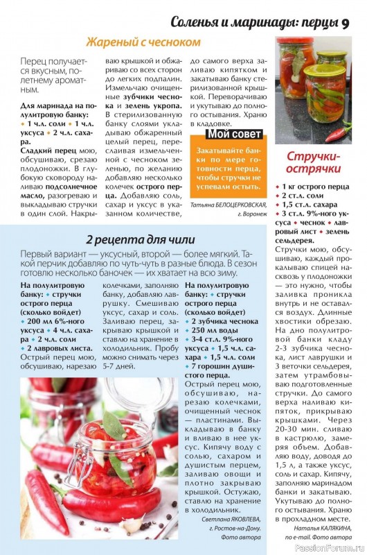 Коллекция кулинарных рецептов в журнале «Сваты. Заготовки №6 2025»