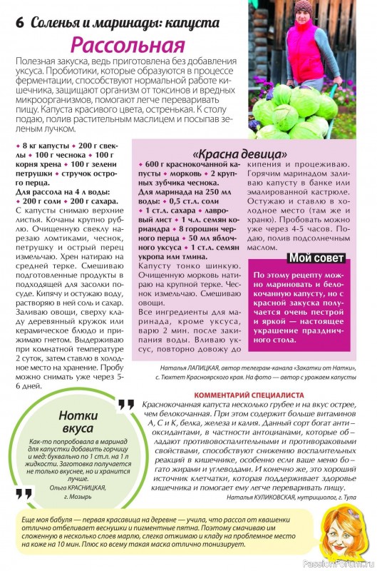 Коллекция кулинарных рецептов в журнале «Сваты. Заготовки №3 2025»