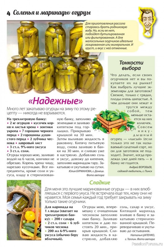 Коллекция кулинарных рецептов в журнале «Сваты. Заготовки №5 2025»