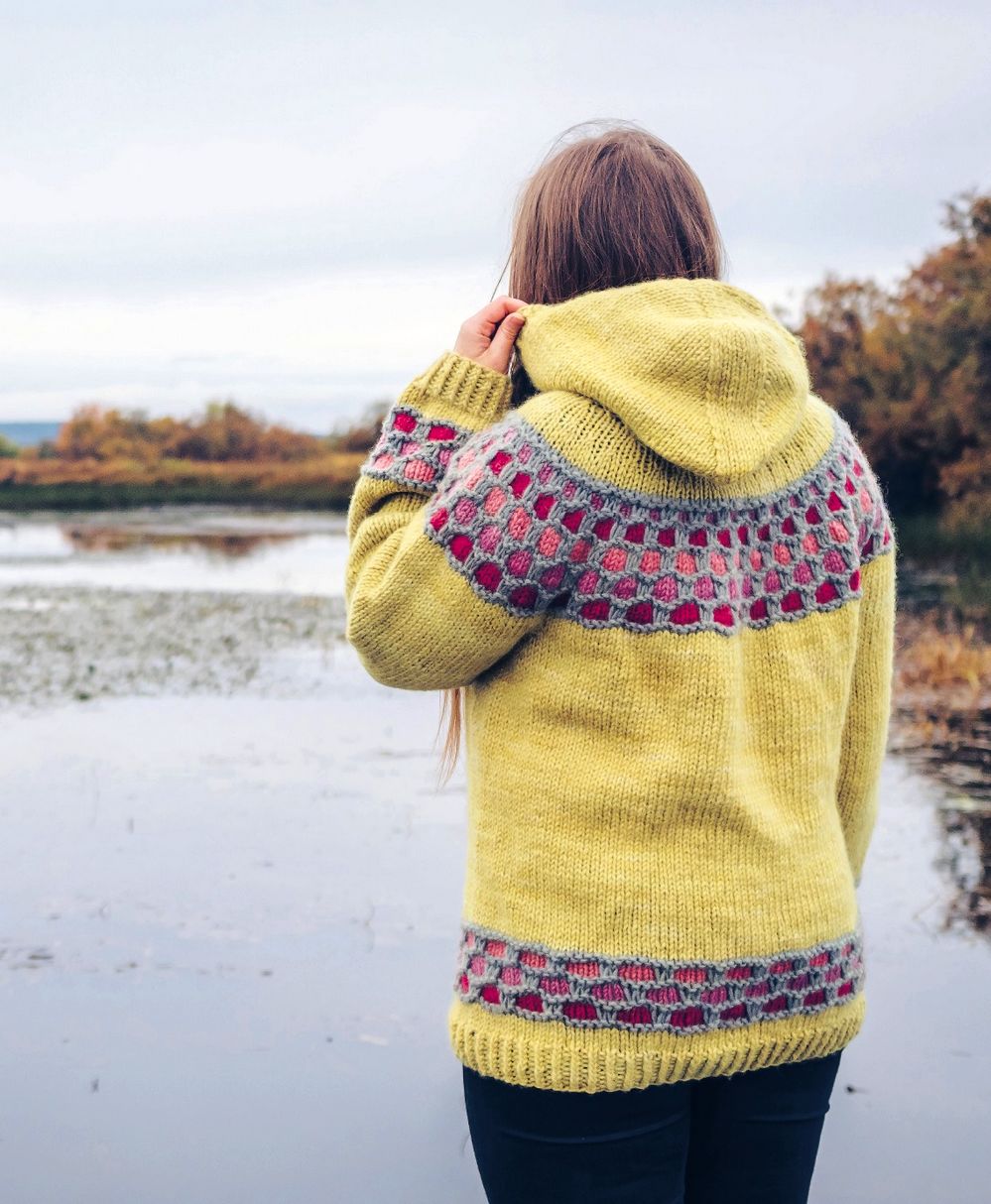 Коллекция вязаных моделей в книге «Icelandic Knits»