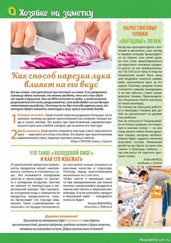 Коллекция кулинарных рецептов в журнале «Наша кухня Салаты и Закуски №3 2024»