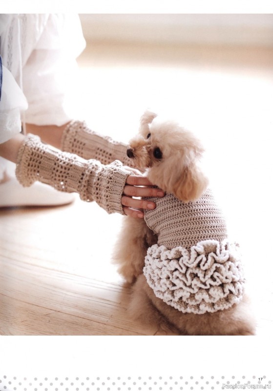 Вязаные проекты в книге «Hand-knitted dog clothes»