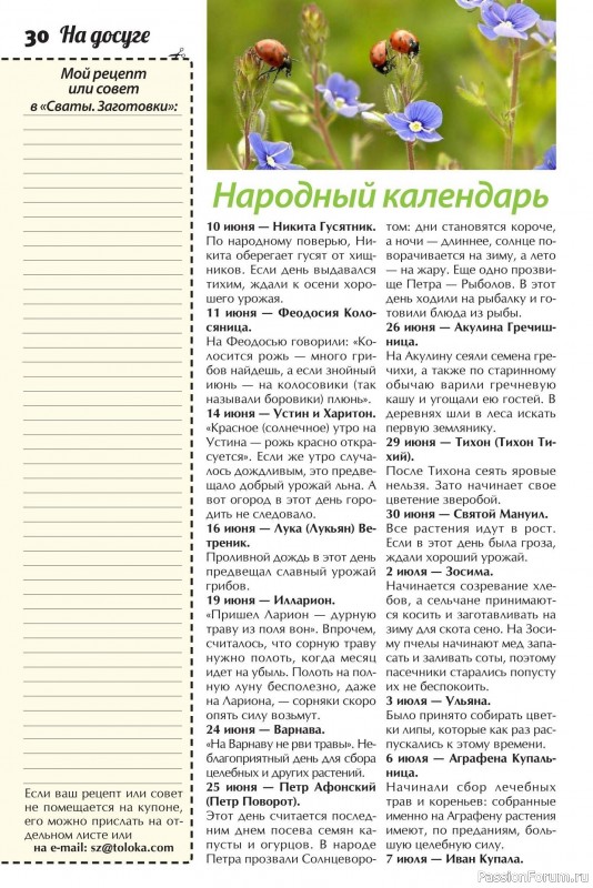 Коллекция кулинарных рецептов в журнале «Сваты. Заготовки №6 2025»