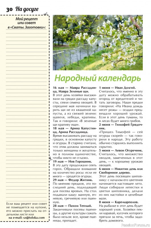 Коллекция кулинарных рецептов в журнале «Сваты. Заготовки №5 2025»