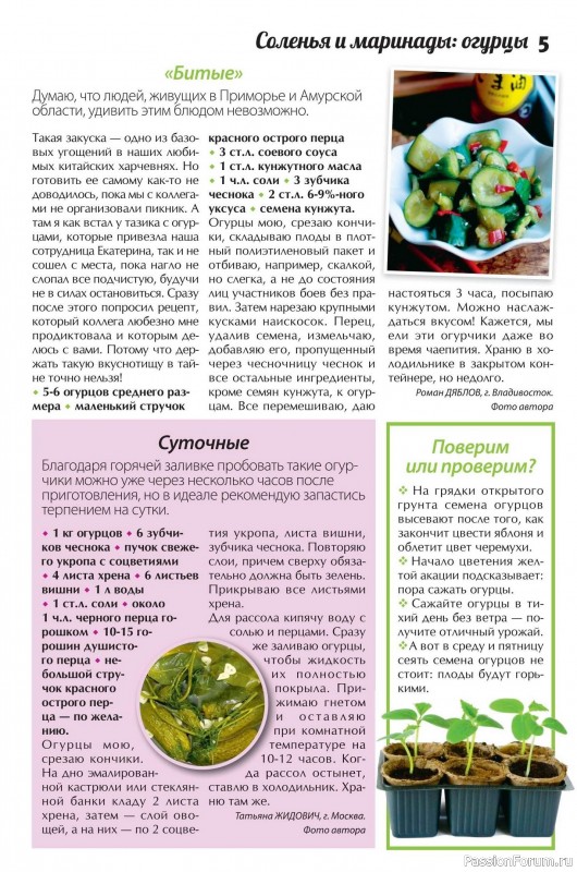Коллекция кулинарных рецептов в журнале «Сваты. Заготовки №5 2025»