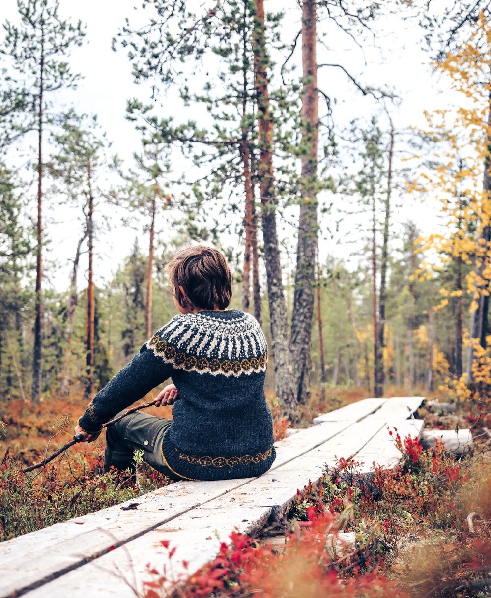 Коллекция вязаных моделей в книге «Icelandic Knits»