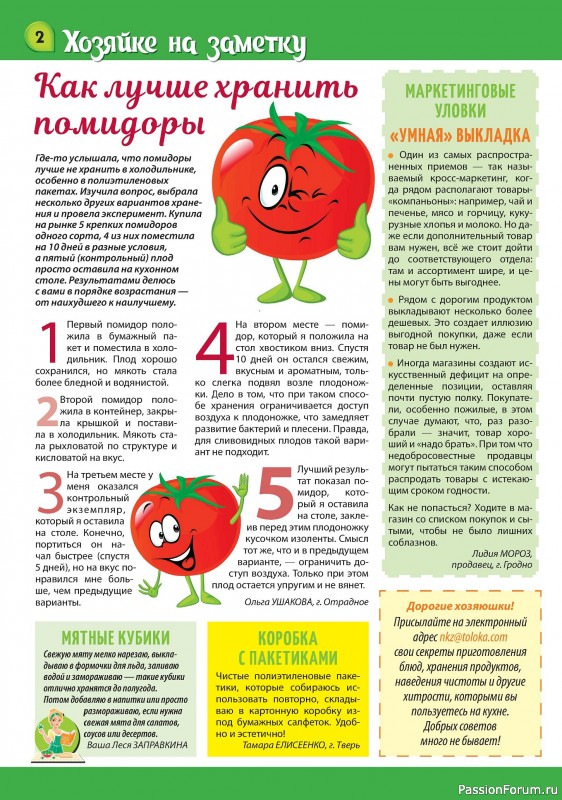 Коллекция кулинарных рецептов в журнале «Наша кухня Салаты и Закуски №6 2024»