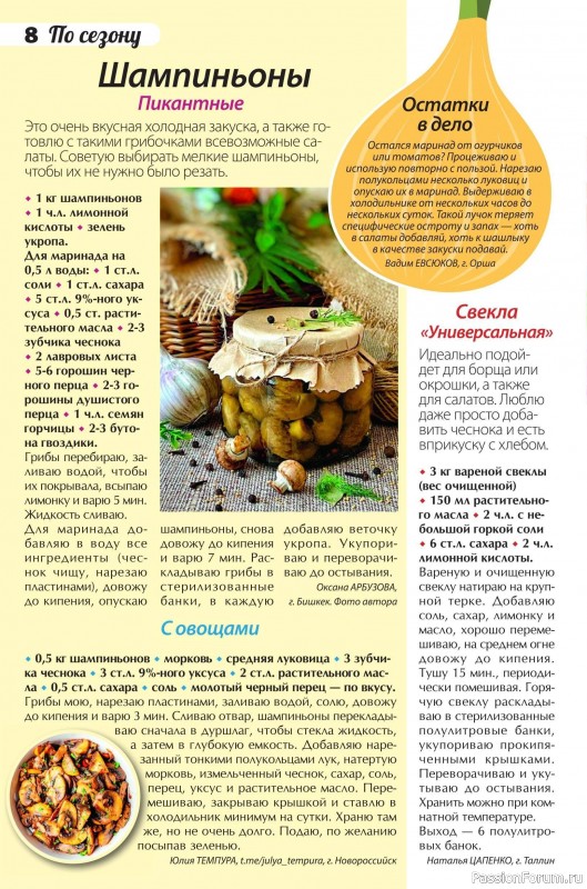 Коллекция кулинарных рецептов в журнале «Сваты. Заготовки №3 2025»