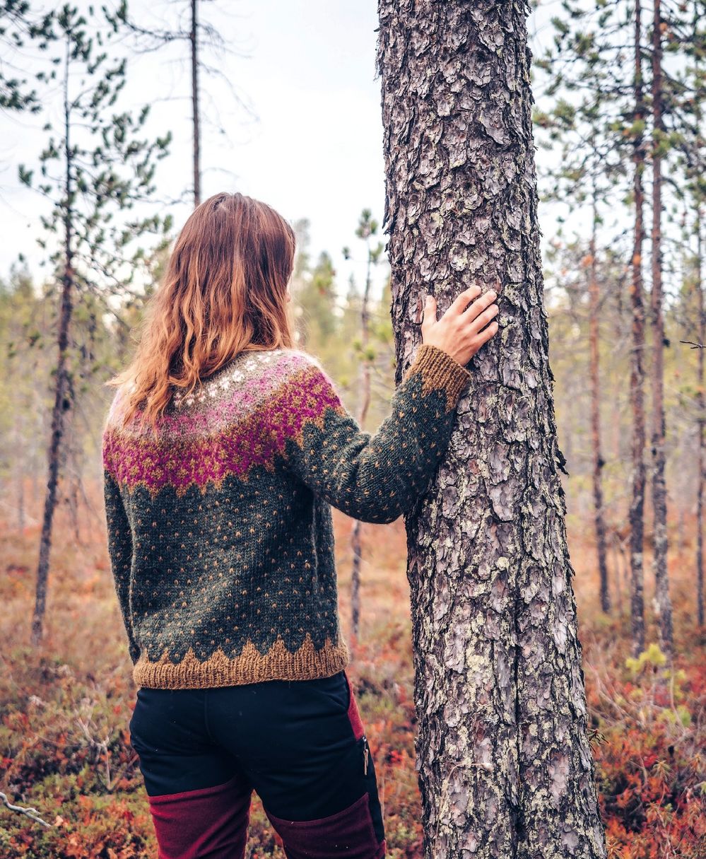 Коллекция вязаных моделей в книге «Icelandic Knits»