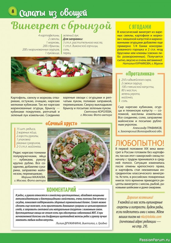 Коллекция кулинарных рецептов в журнале «Наша кухня Салаты и Закуски №3 2024»