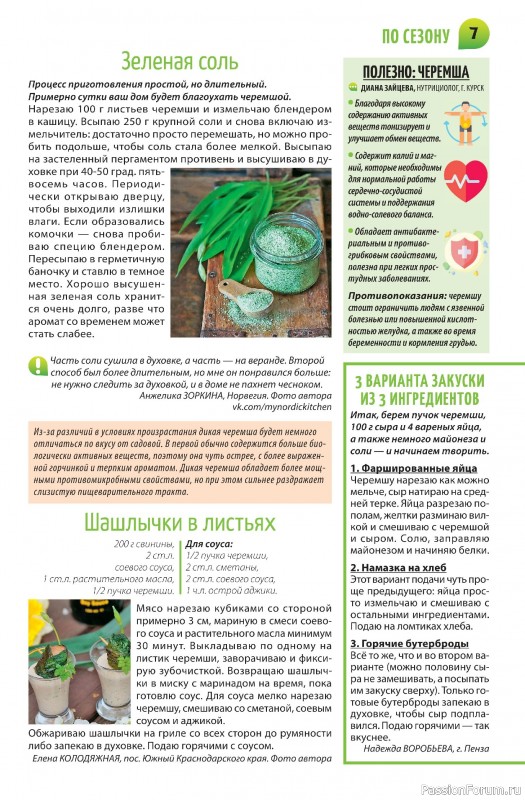Коллекция кулинарных рецептов в журнале «Салат Салатыч №3 2025»