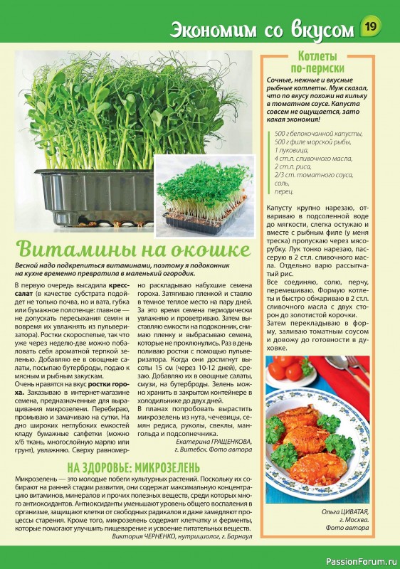 Коллекция кулинарных рецептов в журнале «Наша кухня Салаты и Закуски №3 2024»