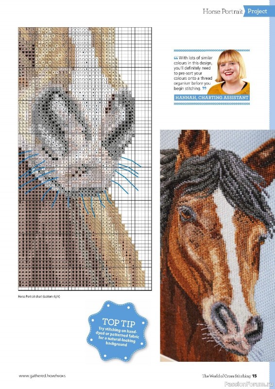 Коллекция вышивки в журнале «The World of Cross Stitching №322 2022»