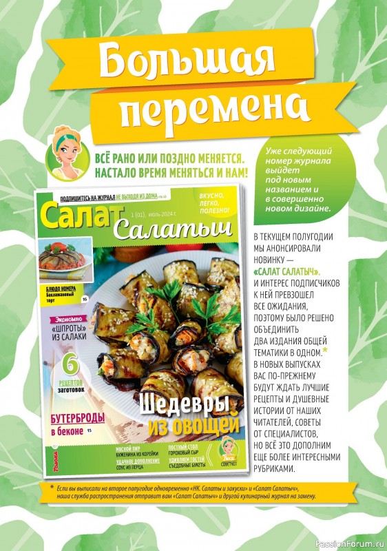Коллекция кулинарных рецептов в журнале «Наша кухня Салаты и Закуски №6 2024»