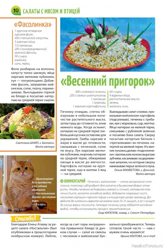 Коллекция кулинарных рецептов в журнале «Салат Салатыч №3 2025»