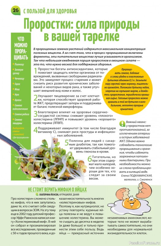 Коллекция кулинарных рецептов в журнале «Салат Салатыч №3 2025»