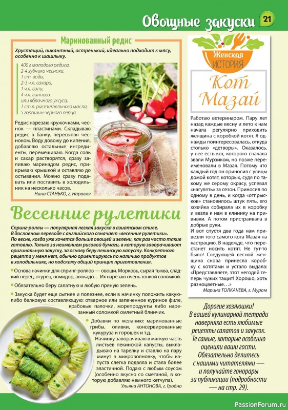 Коллекция кулинарных рецептов в журнале «Наша кухня Салаты и Закуски №3 2024»