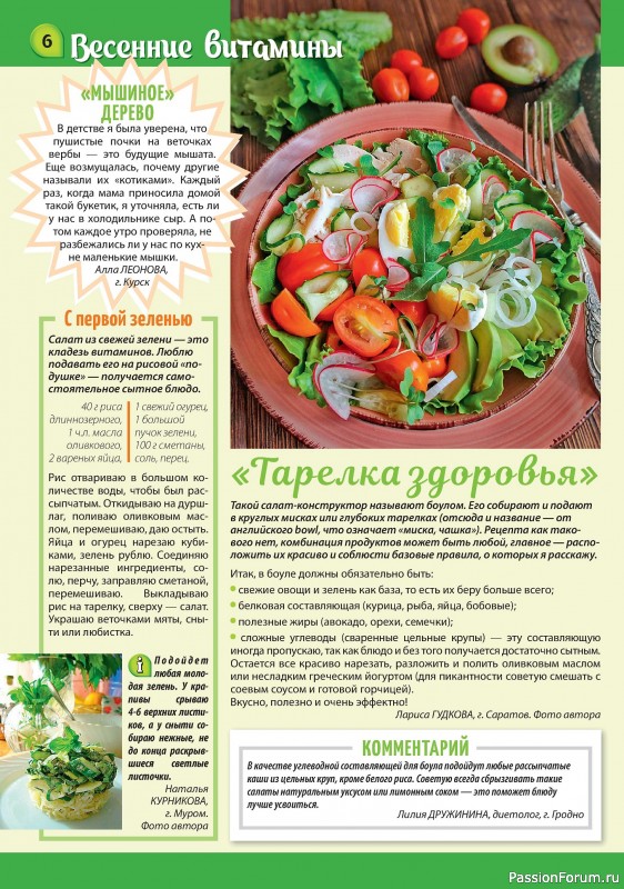 Коллекция кулинарных рецептов в журнале «Наша кухня Салаты и Закуски №3 2024»