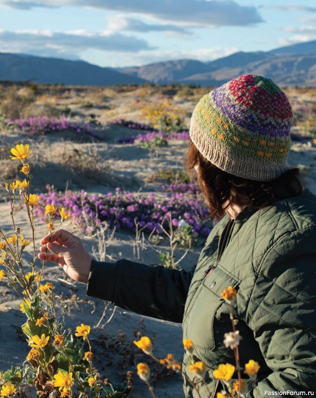 Коллекция шапок в книге «Knitting California»