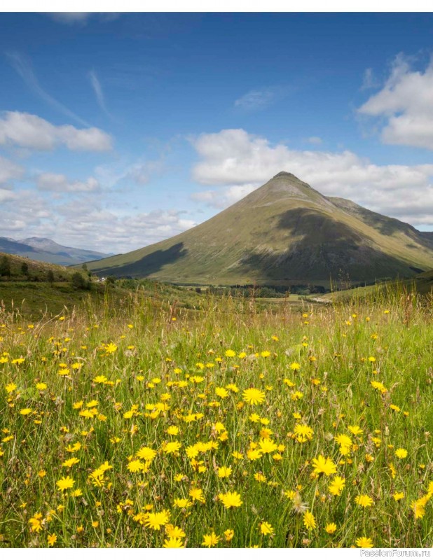 Вязаные проекты в книге «The West Highland Way»