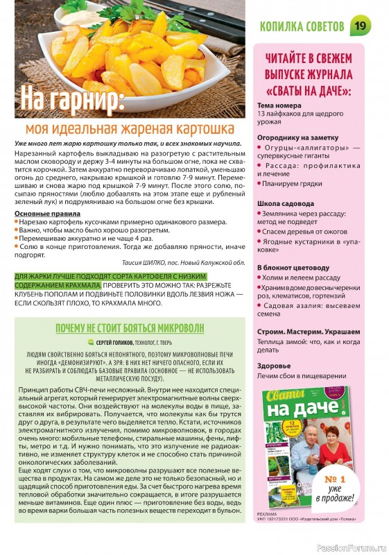 Коллекция кулинарных рецептов в журнале «Салат Салатыч №1 2025»