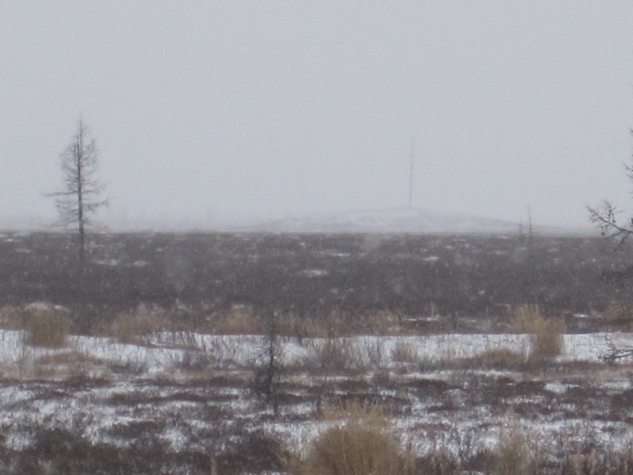 Поездка в тундру.