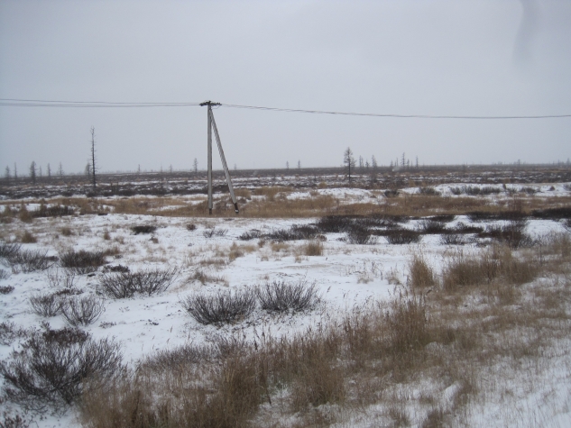 Поездка в тундру.