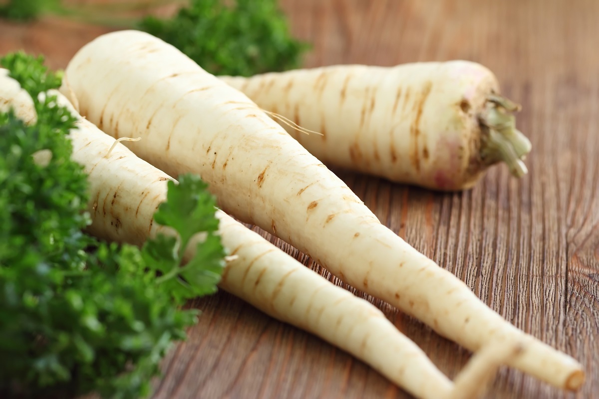 Здоровье: чем полезен пастернак