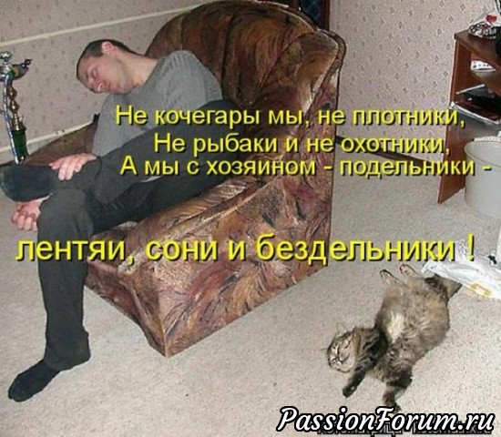 СПЛЮШКИ