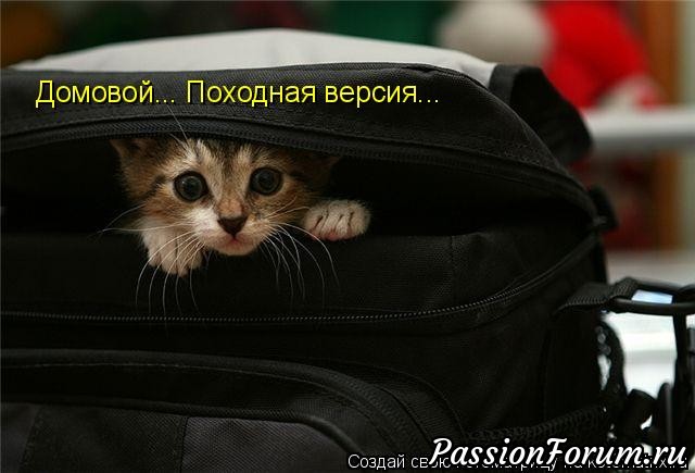 Котэ- домовые)))