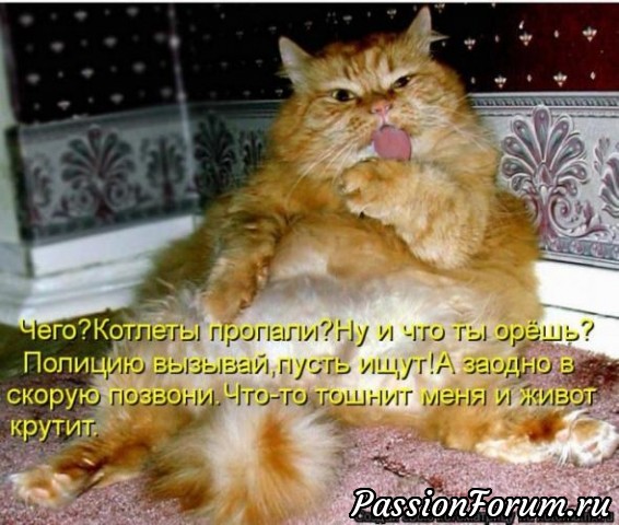 Без кота жизнь не та)))