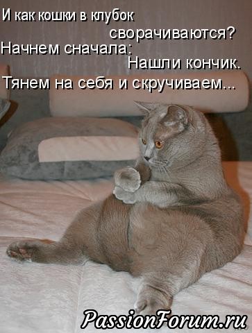 Без кота жизнь не та)))