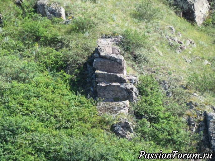 За чабрецом и не только-2