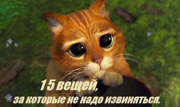 15 вещей, за которые не надо извиняться (даже если вы думаете, что надо) (Re.)