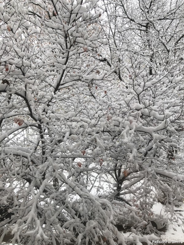 Теплые перчатки, альпака