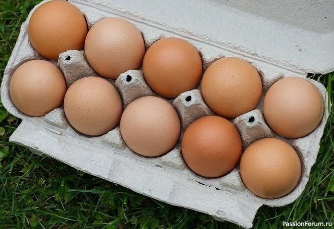 Моя подруга работает на птицефабрике и рассказала, почему не покупает такие яйца