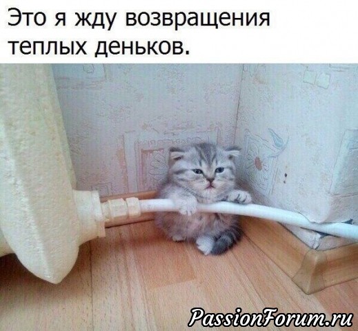 12.02...зима...был снег в пятницу..но быстро...