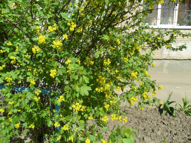 Прогулка по весеннему городу