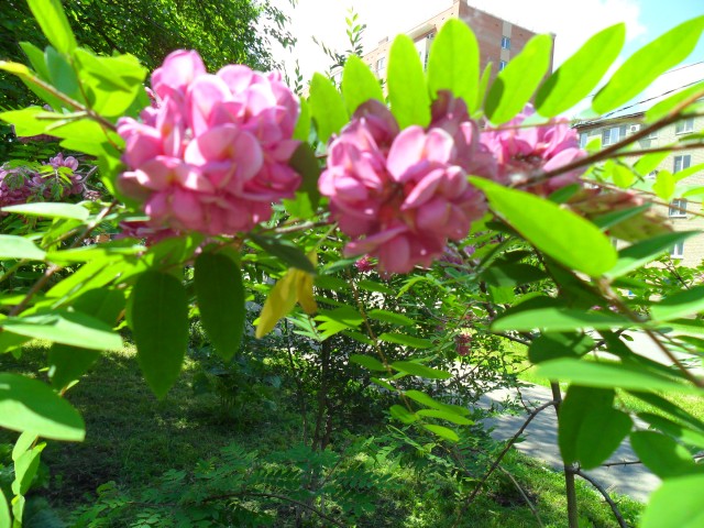 Прогулка по весеннему городу