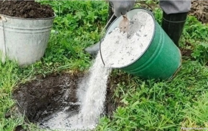 Дачникам. Когда зола вредит земле