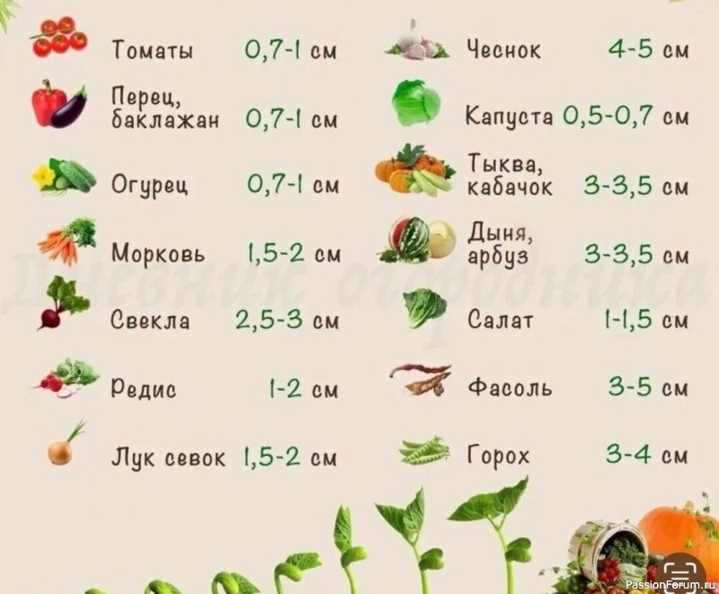 Дачникам. Глубина посева семян