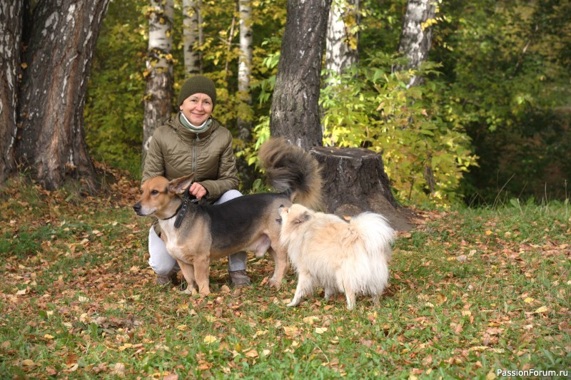 Сезон валяных варежек начался.