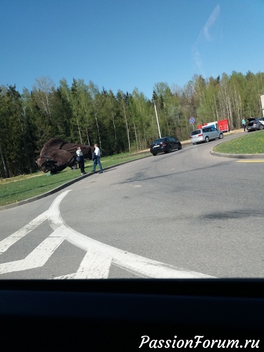 3-й Международный слёт. Из зимы - в лето!