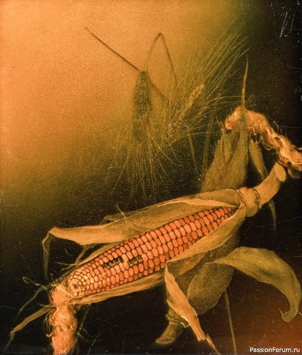 Керамика Rookwood Pottery