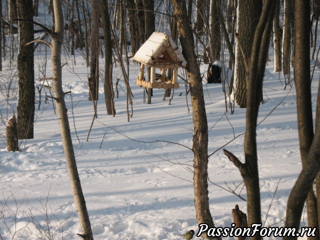 Утренняя субботняя прогулочка!