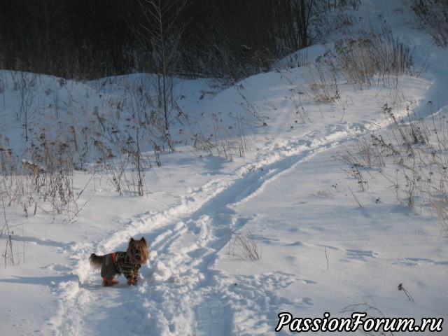 Утренняя субботняя прогулочка!