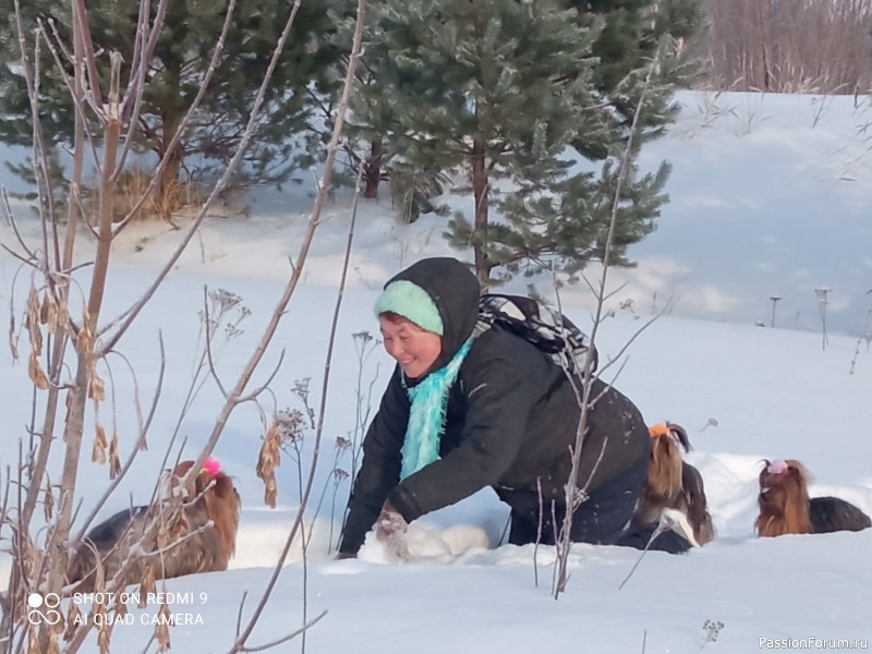 А у нас снова солнечно!