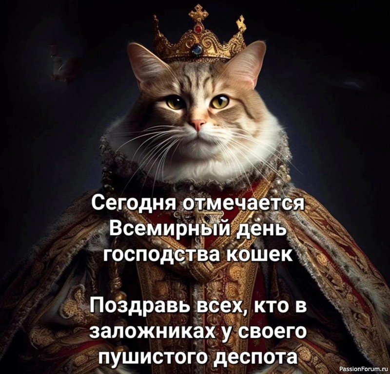 Коты и кошки.. Просто волшебно!