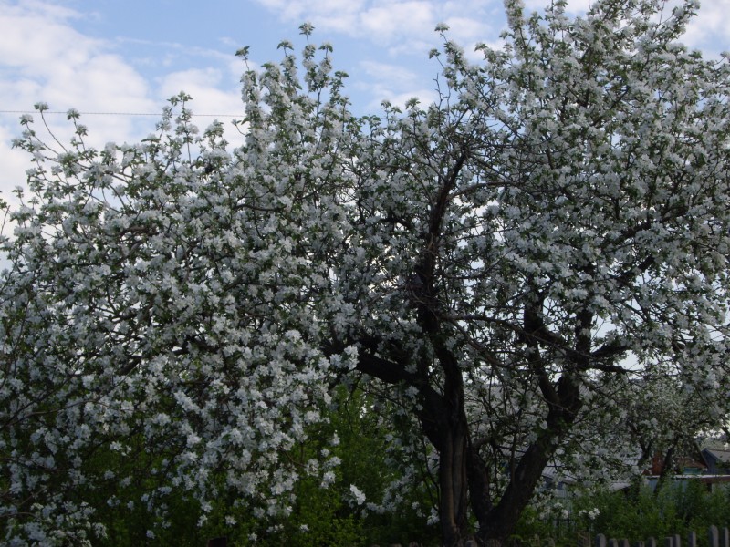 Весна в городе(продолжение)